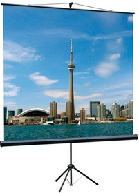 Экран для проектора Lumien Eco View LEV-100101, 150х150 см, 1:1, напольный